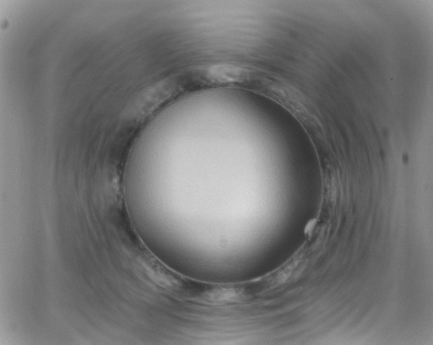 X0000066090418200603171100