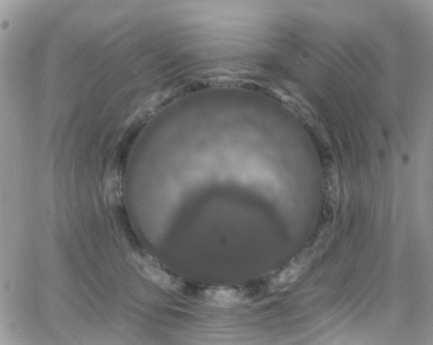 X0000066090419200603171100