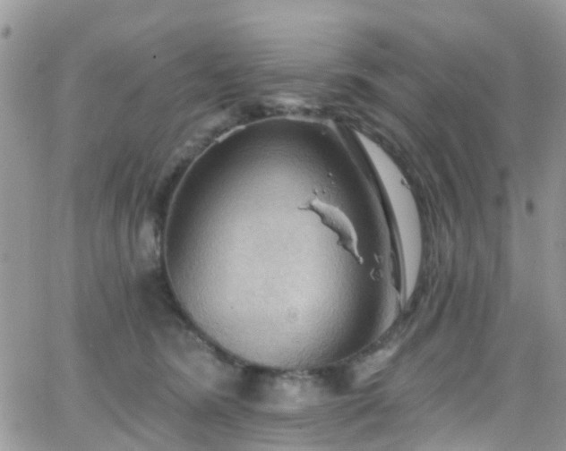 X0000066090420200603171100