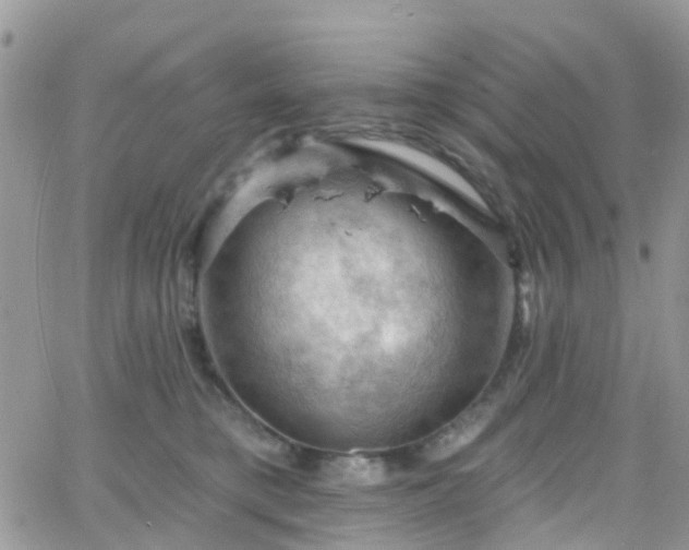 X0000066090421200603171100