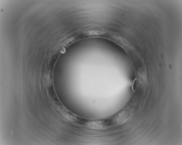 X0000066090422200603171100