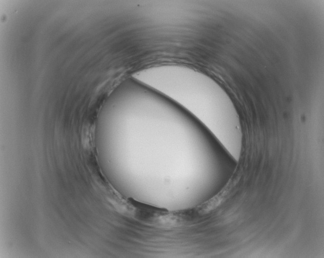 X0000066090423200603171100