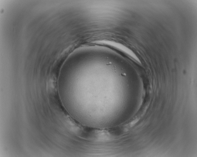 X0000066090424200603171100