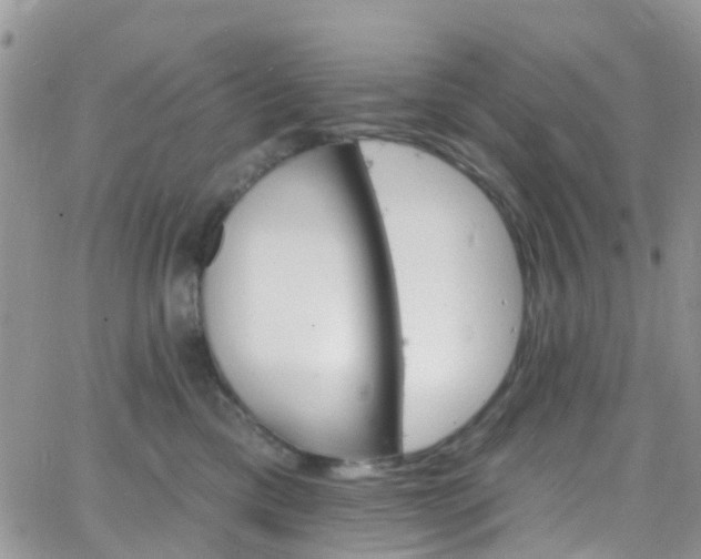 X0000066090425200603171100