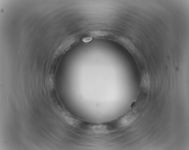 X0000066090426200603171100