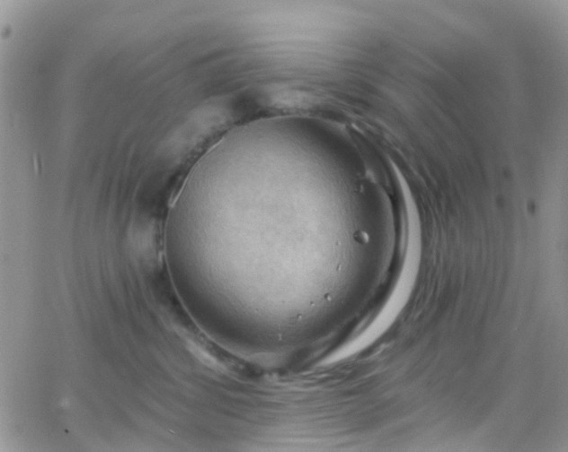 X0000066090428200603171100