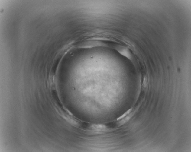 X0000066090429200603171100