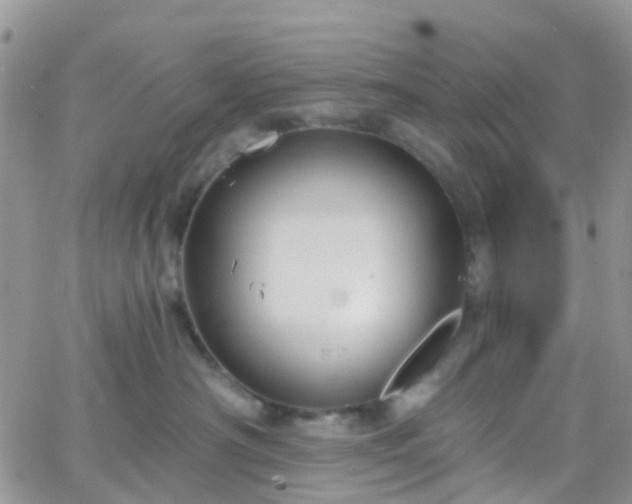 X0000066090430200603171100