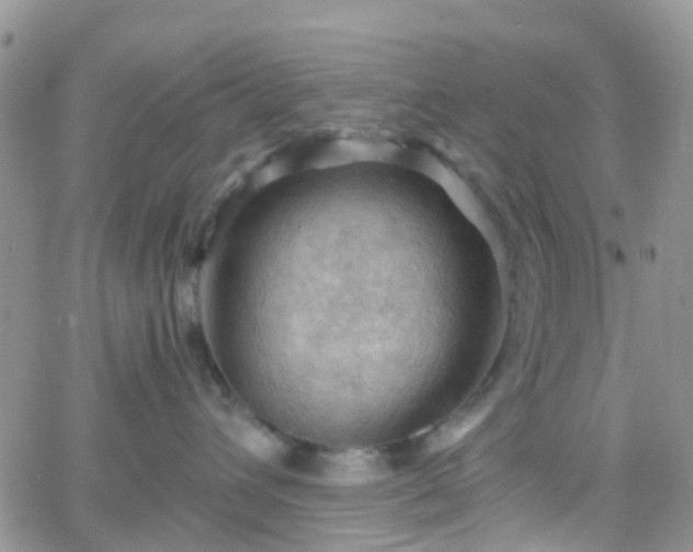 X0000066090432200603171100