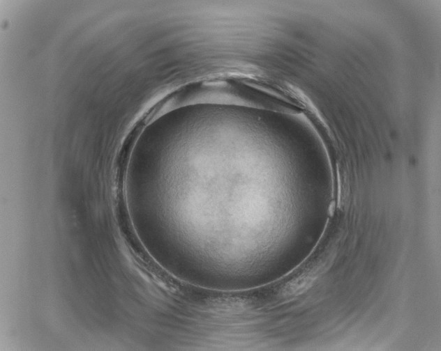 X0000066090435200603171059