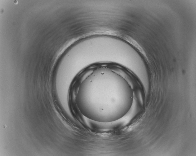 X0000066090436200603171059