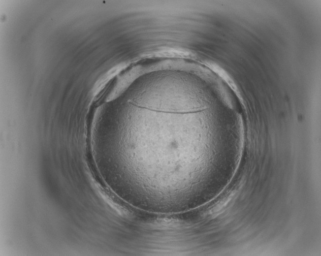 X0000066090437200603171059