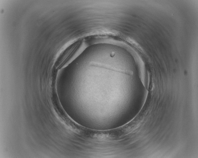 X0000066090440200603171059