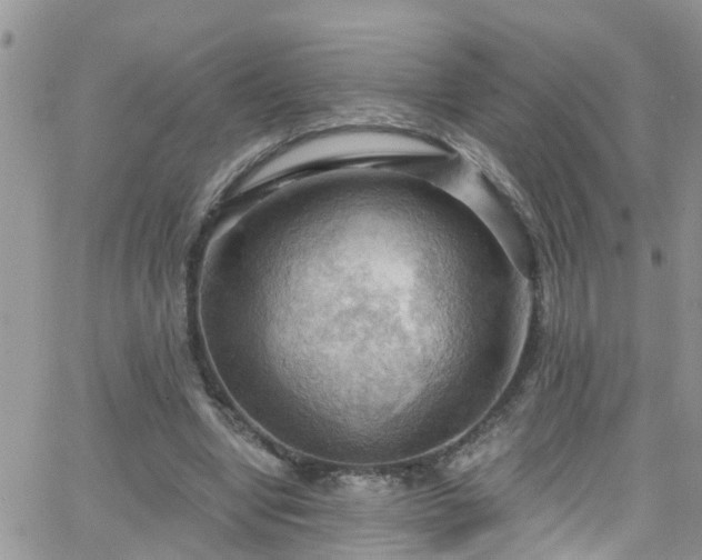 X0000066090442200603171059