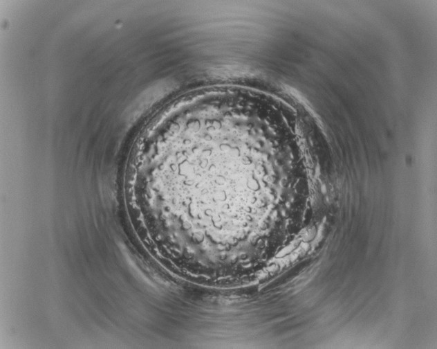 X0000066090443200603171059