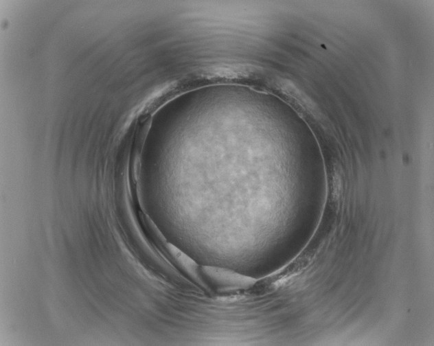 X0000066090444200603171059