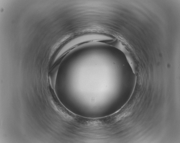 X0000066090446200603171059