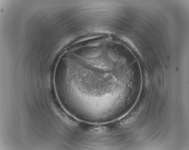 X0000066090447200603171059