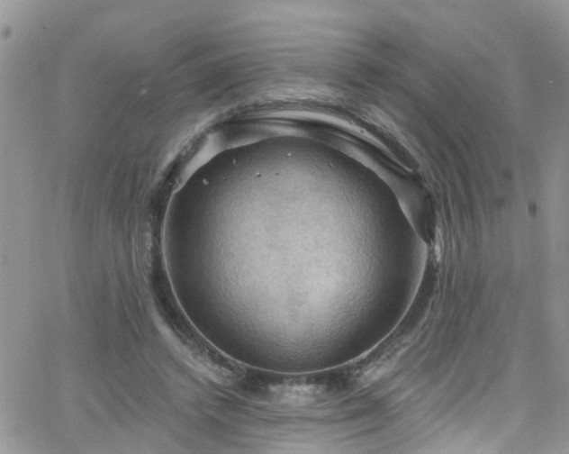 X0000066090448200603171059