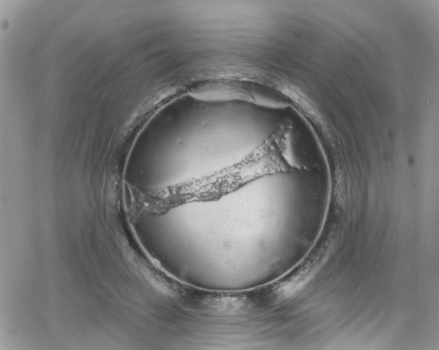 X0000066090449200603171059