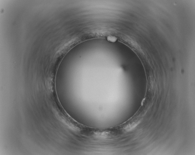 X0000066090450200603171059