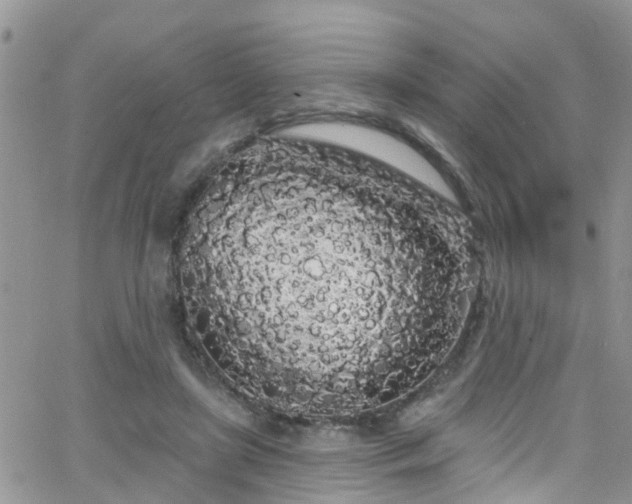 X0000066090451200603171059