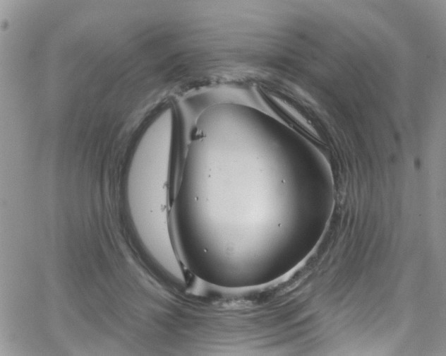 X0000066090452200603171059