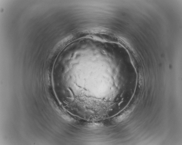 X0000066090453200603171059