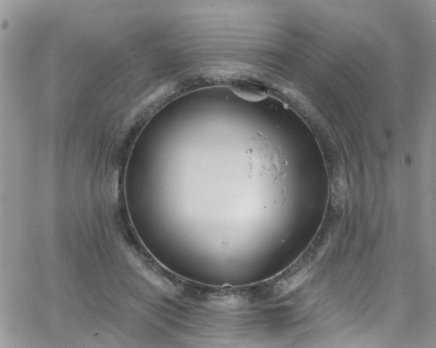 X0000066090454200603171059