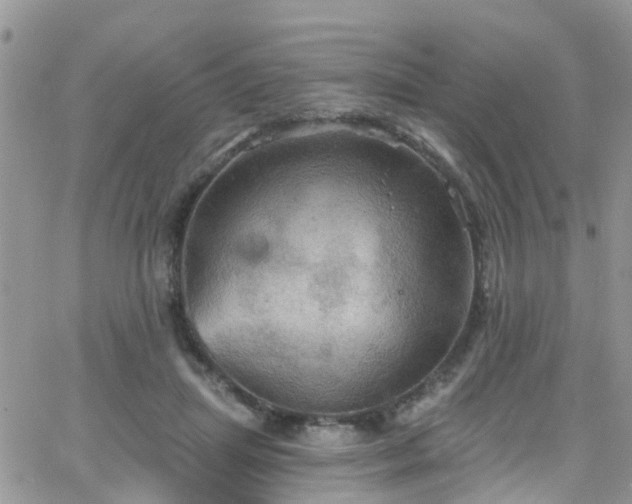 X0000066090455200603171059