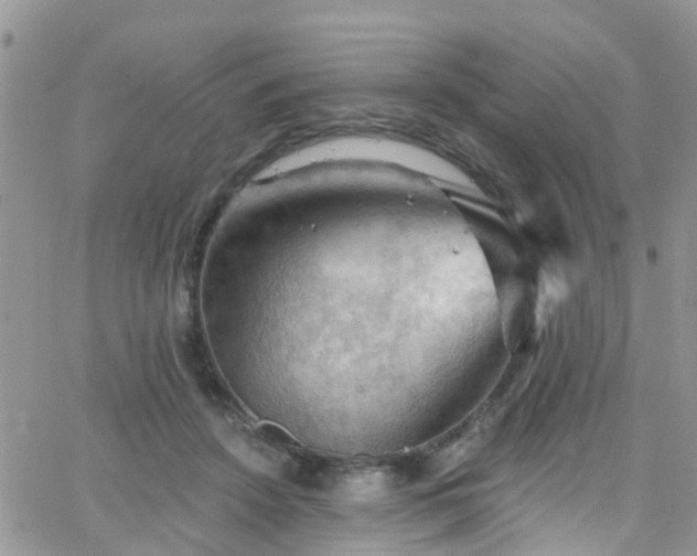 X0000066090456200603171100