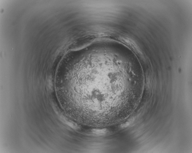 X0000066090457200603171100