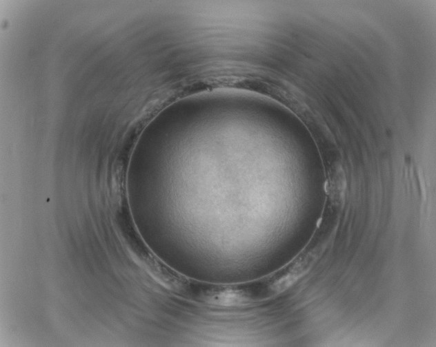 X0000066090460200603171100