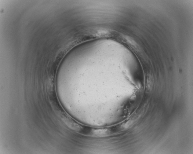 X0000066090461200603171100