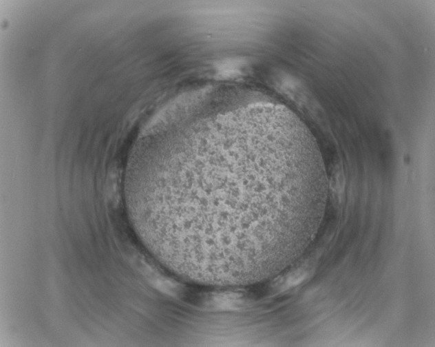 X0000066090462200603171100