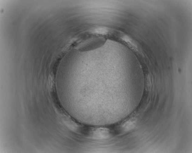 X0000066090463200603171100