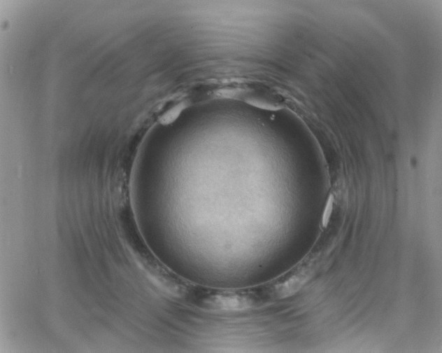 X0000066090464200603171100