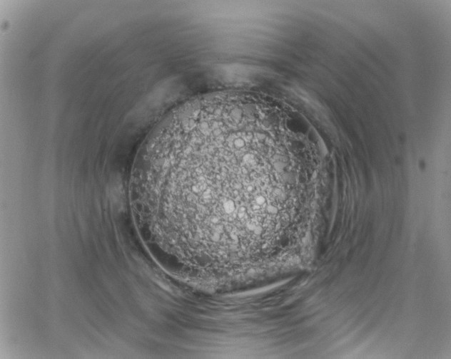 X0000066090465200603171100