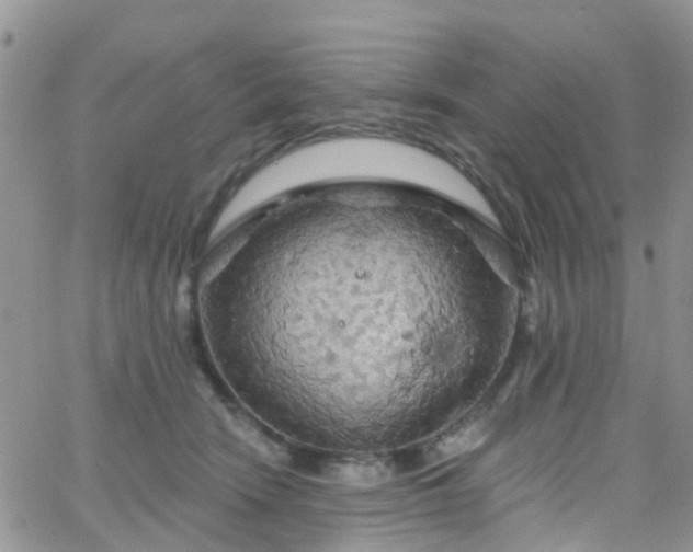 X0000066090466200603171100