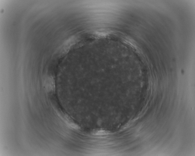 X0000066090467200603171100