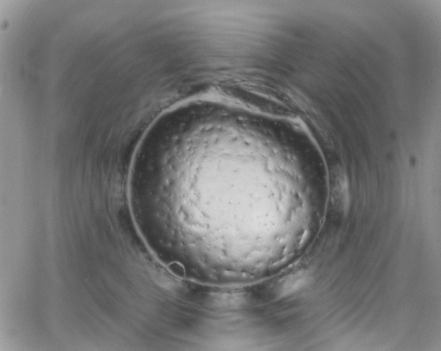 X0000066090469200603171100