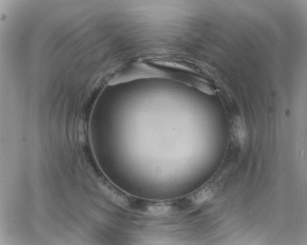 X0000066090470200603171100