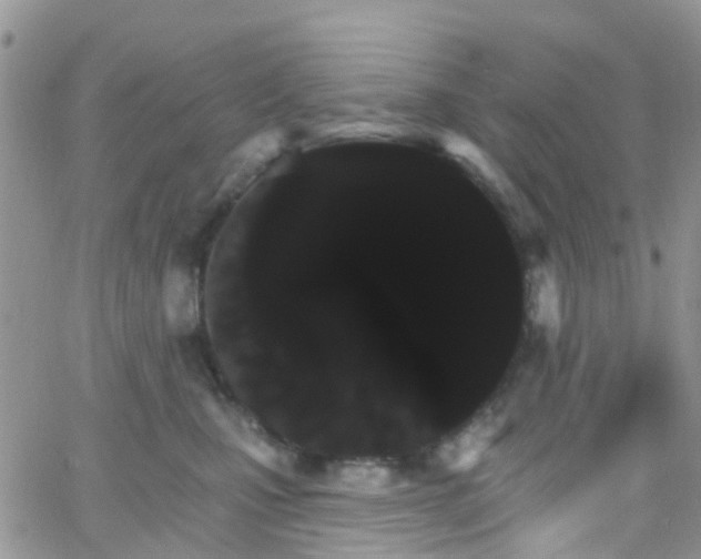 X0000066090471200603171100