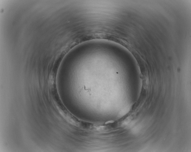 X0000066090472200603171100