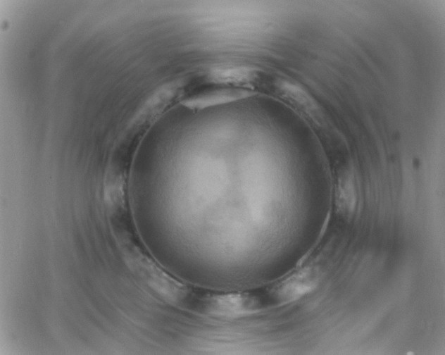 X0000066090473200603171100