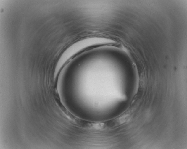 X0000066090474200603171100