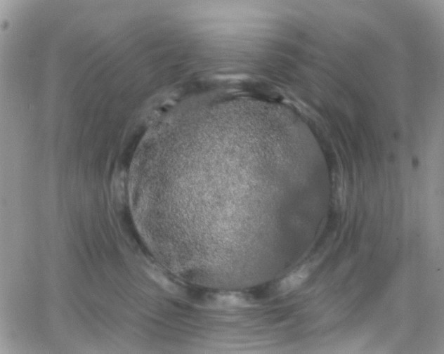 X0000066090475200603171100