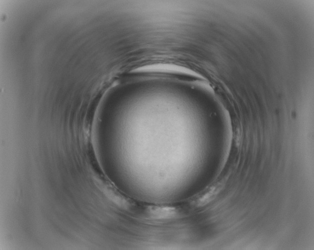 X0000066090476200603171100