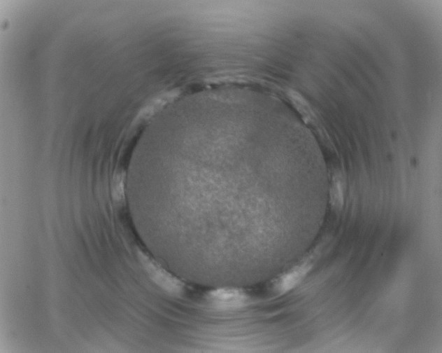 X0000066090477200603171100