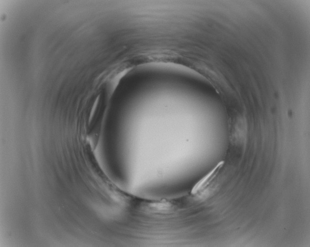 X0000066090478200603171100